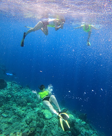 Snorkelling in Dominica